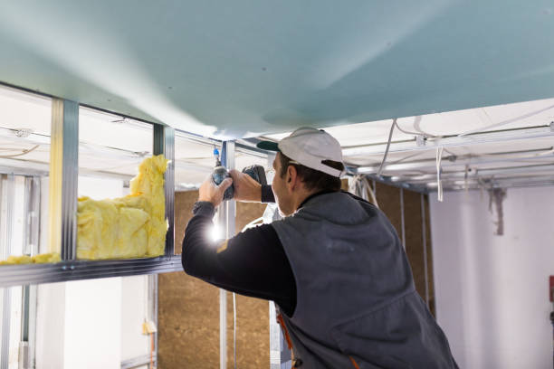 Best Insulation Repair Services  in Maryville, MO