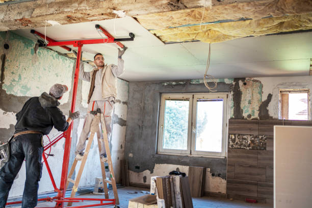 Best Attic Insulation Near Me  in Maryville, MO