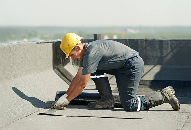 Best Commercial Insulation Contractor  in Maryville, MO