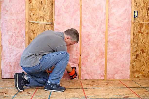 Best Fiberglass Insulation  in Maryville, MO
