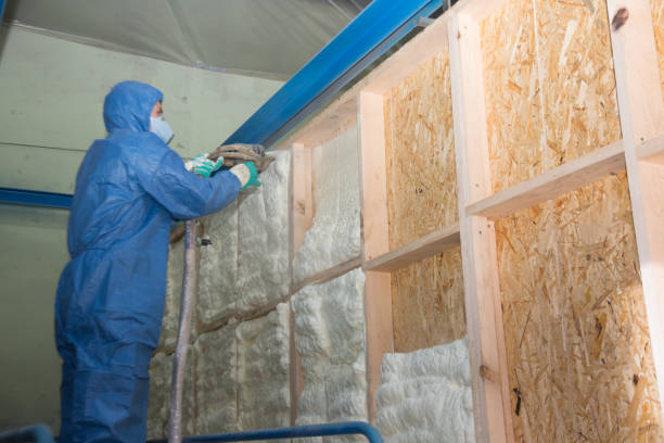 Best Best Insulation Companies  in Maryville, MO